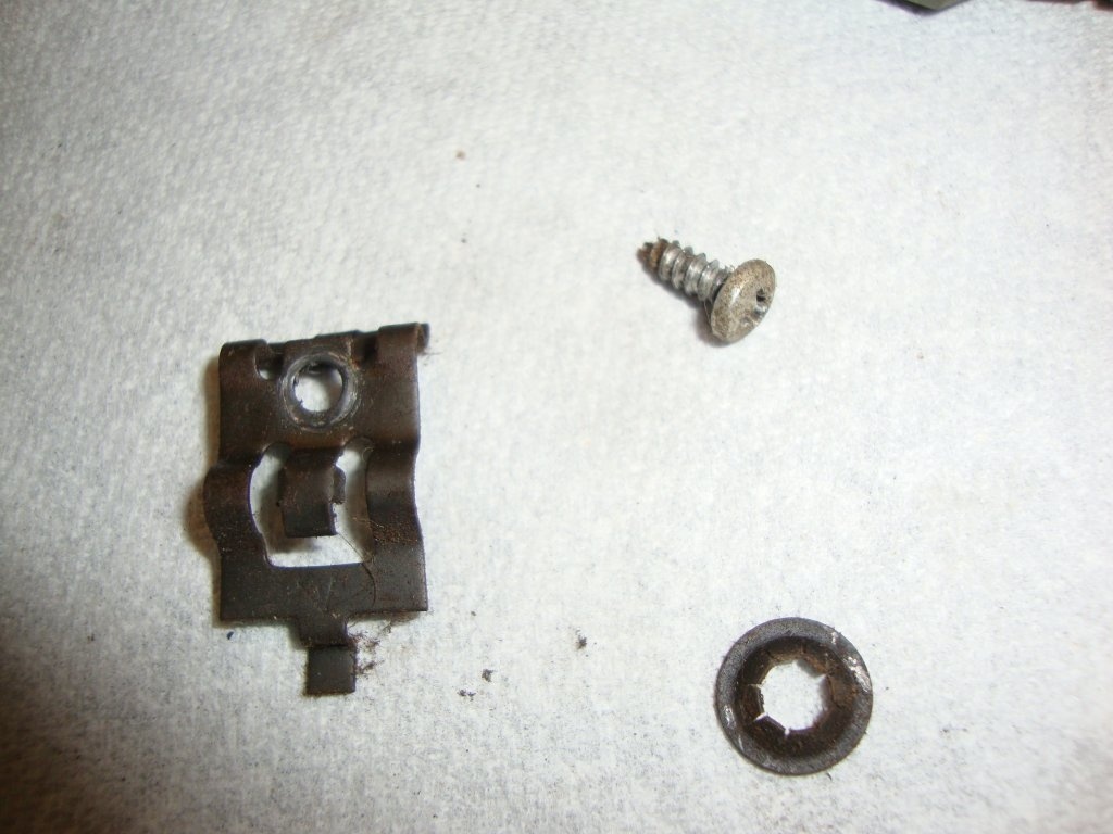 DSC03550.JPG