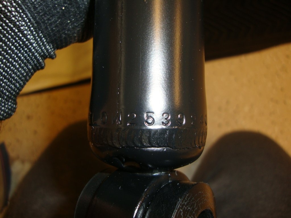 DSC04337.JPG