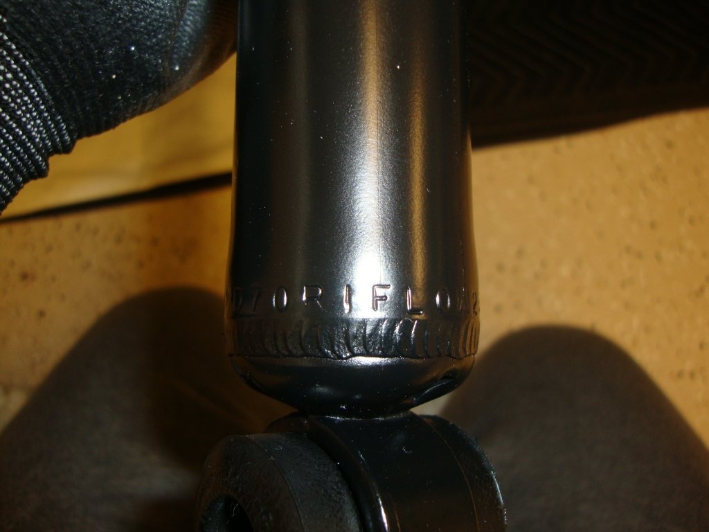 DSC04338.JPG