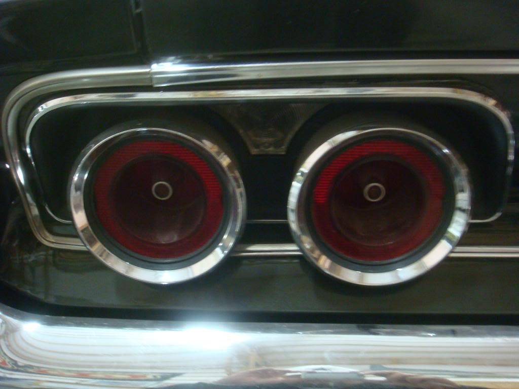 DSC05780.jpg