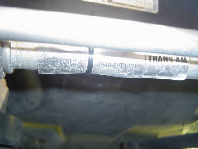 DSC06397.JPG