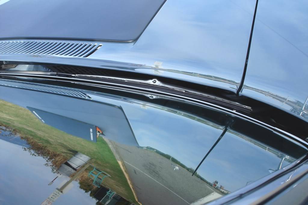 DSC07285r.jpg