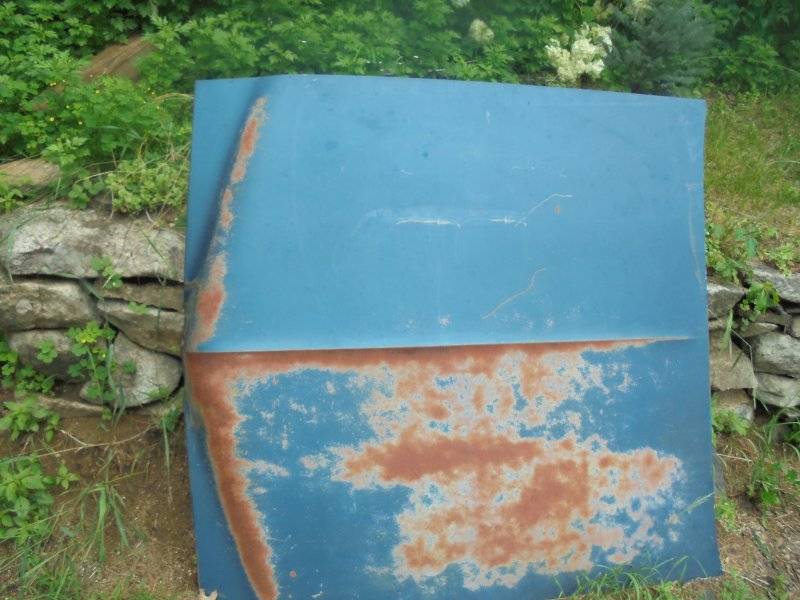 DSC08494.JPG