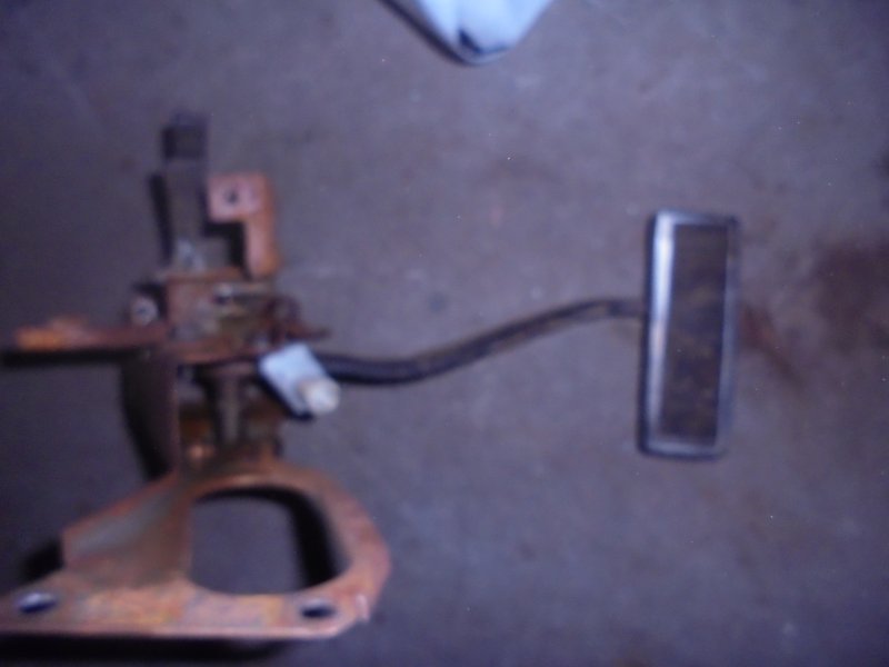DSC09214.JPG