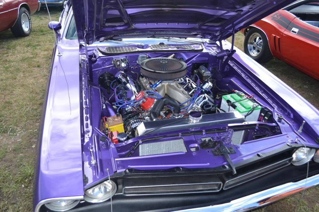 DSC_0007-1_zps14a82f8b.jpg