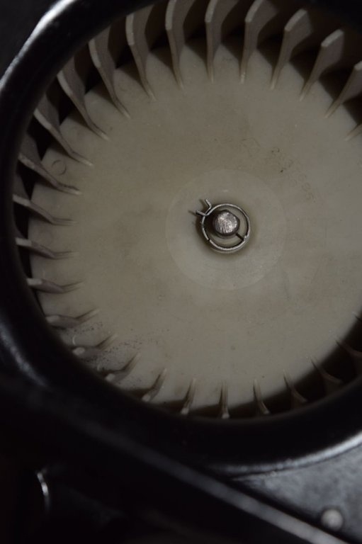 DSC_0033.jpg