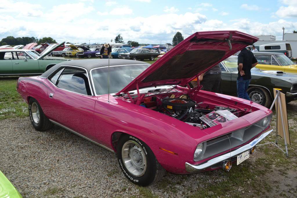 DSC_0044_zps156d55e1.jpg