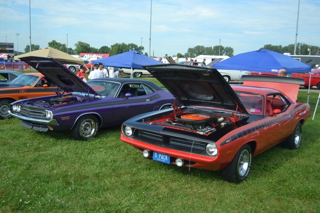 DSC_0081_zps79e3e724.jpg