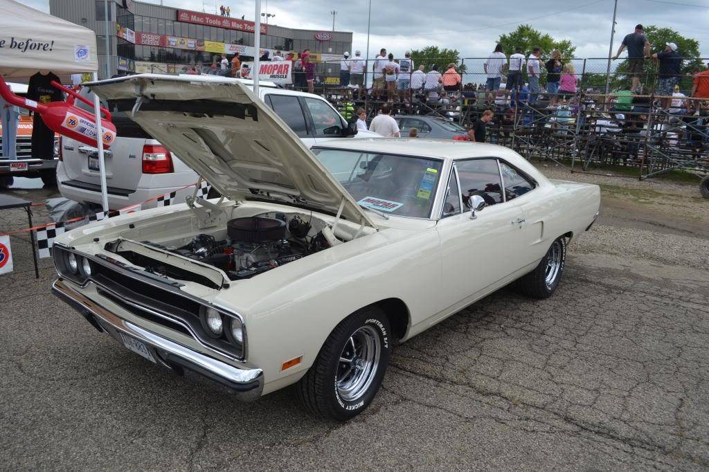DSC_0087_zpsc9de68ba.jpg