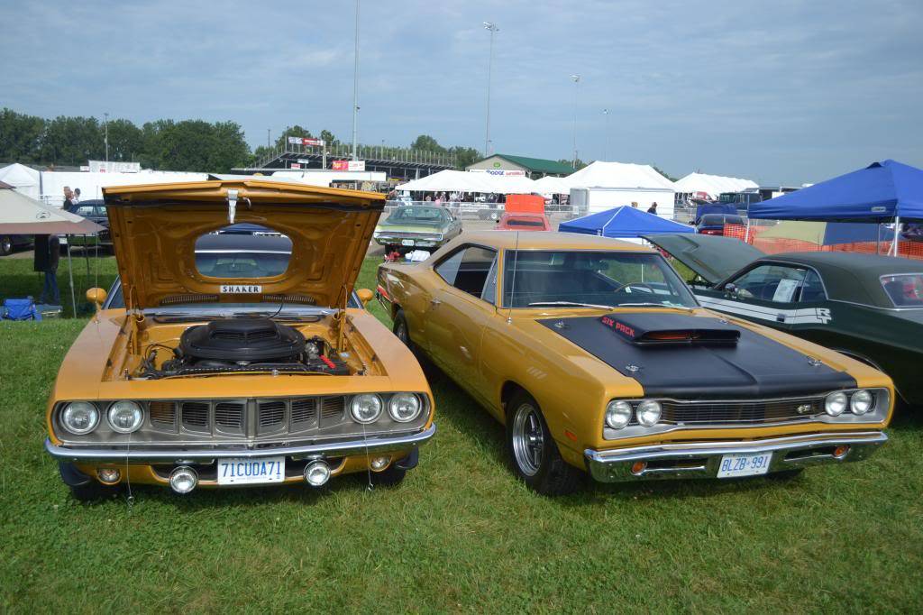 DSC_0101_zps40af69af.jpg