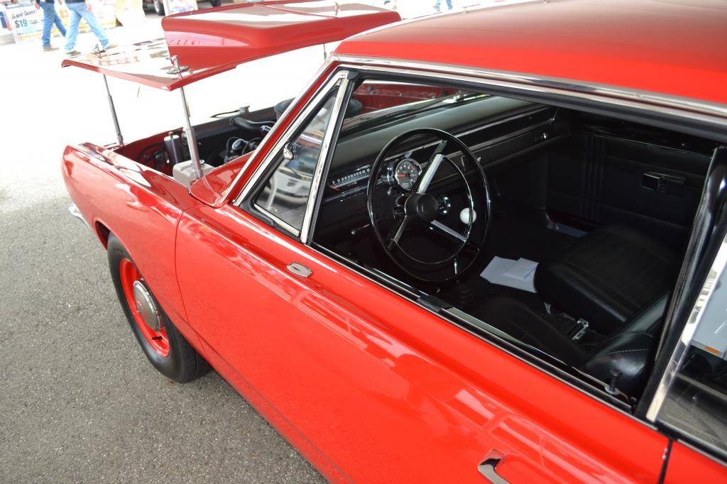 DSC_0116_zps827c967f.jpg