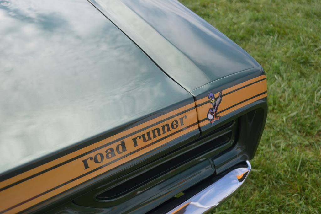 DSC_0117_zps764167f4.jpg