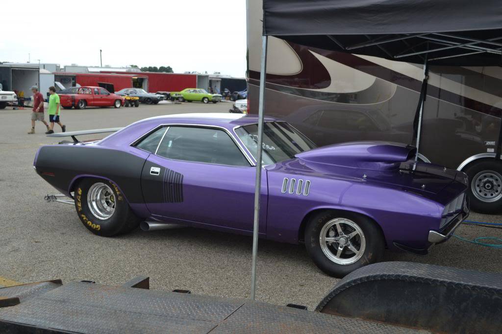 DSC_0131_zps51a9f584.jpg
