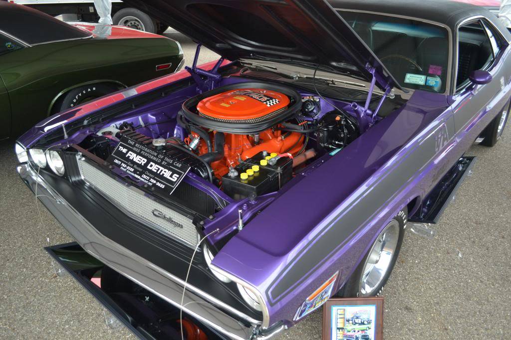 DSC_0239_zpsef18e036.jpg