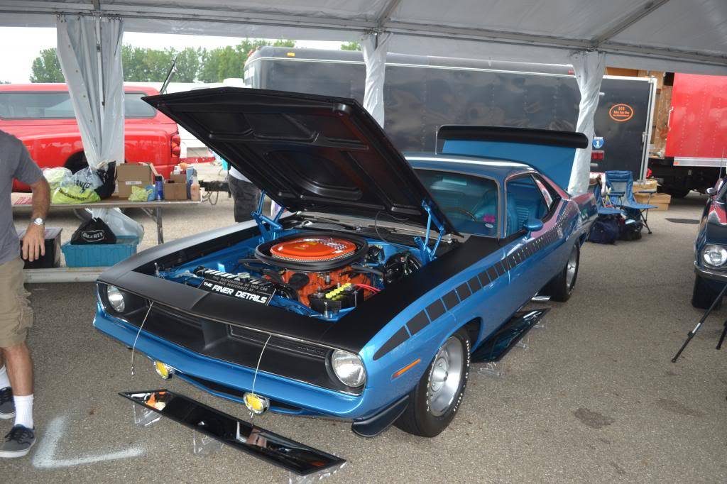 DSC_0241_zps8203efb8.jpg