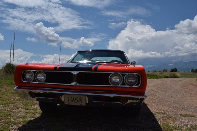 DSC_0259.jpg