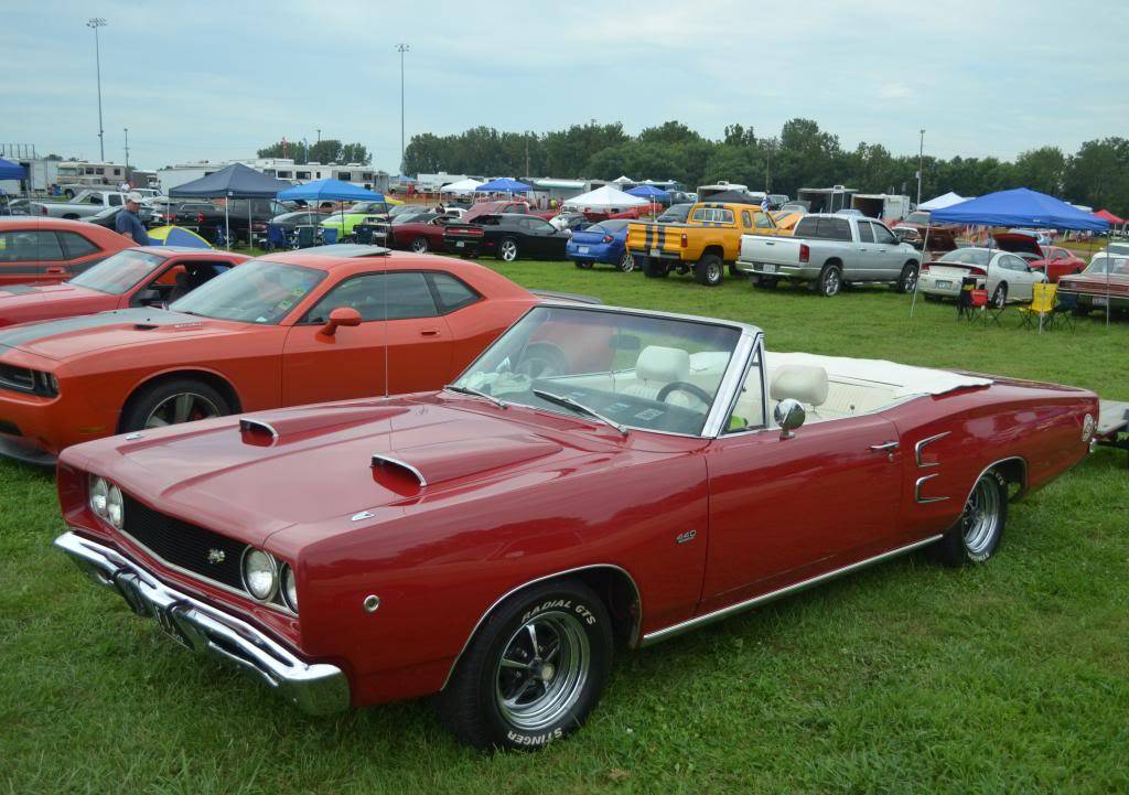 DSC_0269_zps193d43b0.jpg