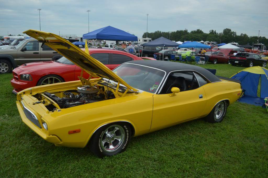 DSC_0271_zpsf13e9f65.jpg