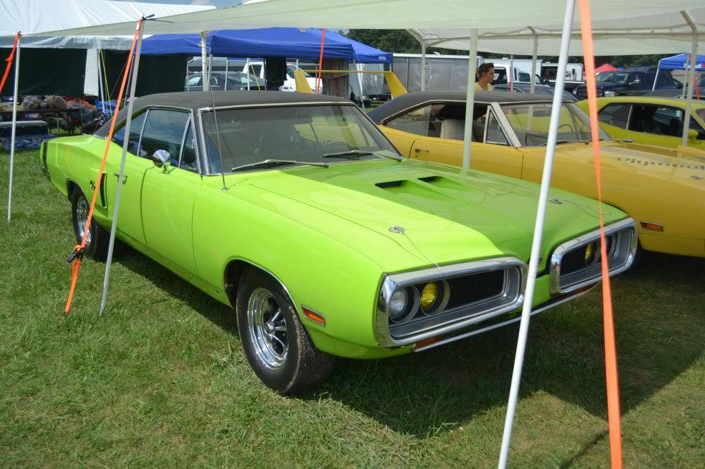 DSC_0350_zpscf58f2b1.jpg