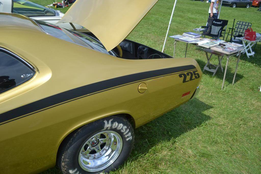 DSC_0413_zpsf8b89875.jpg