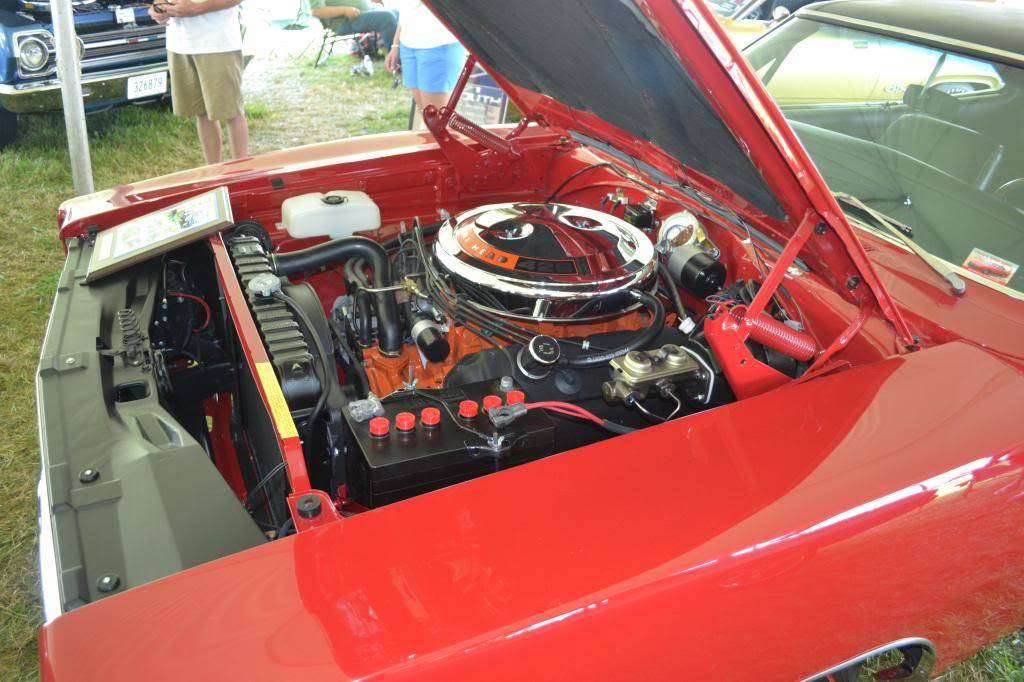 DSC_0485_zps8ba5a95d.jpg