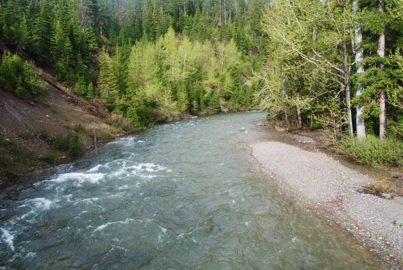 DSC_0662.JPG