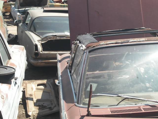 DSCF0117.jpg