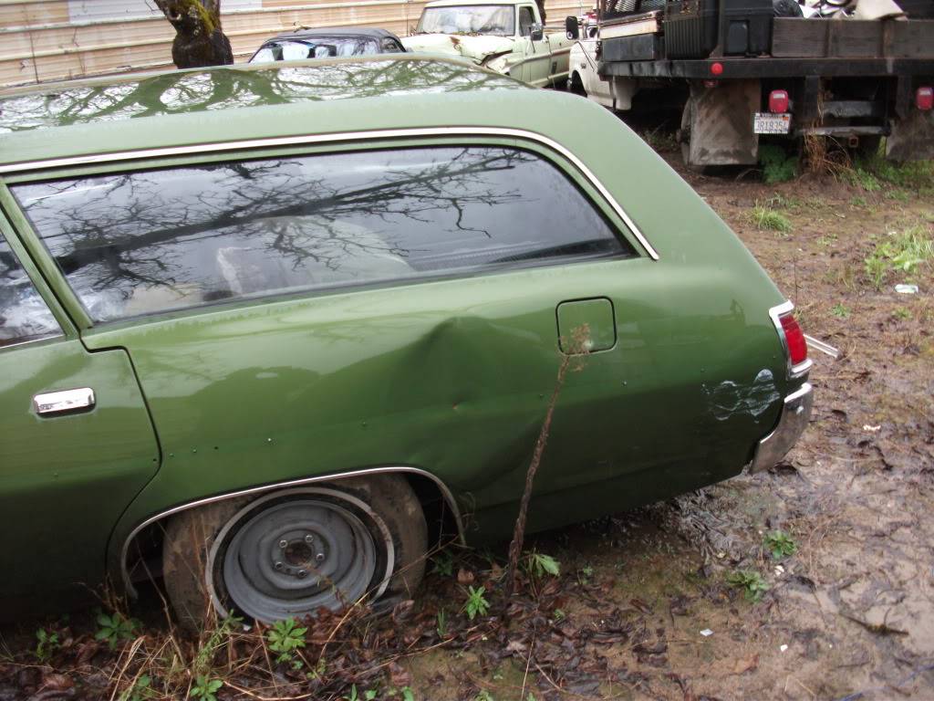 DSCF0175.jpg