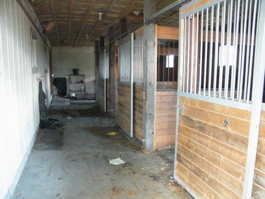 DSCF7975.JPG