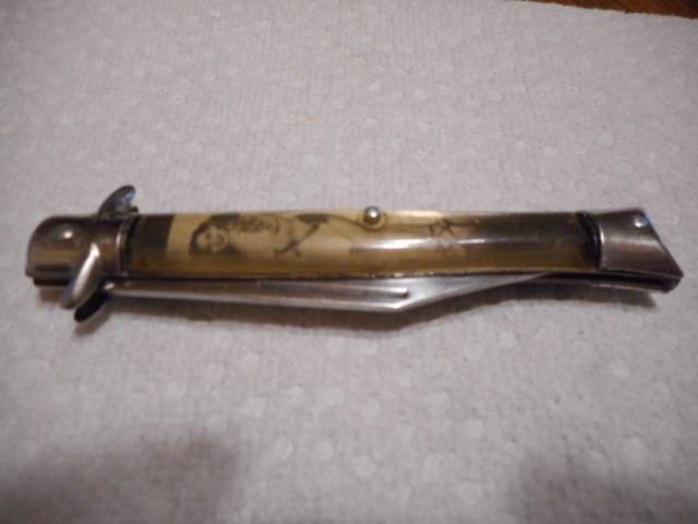 DSCN1516.JPG