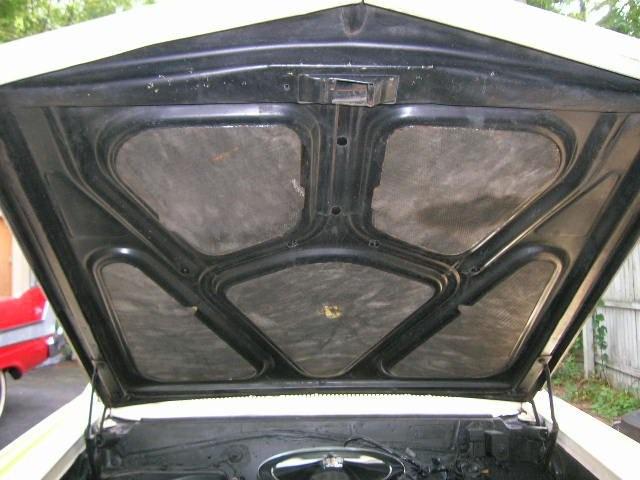 DSCN3174.jpg