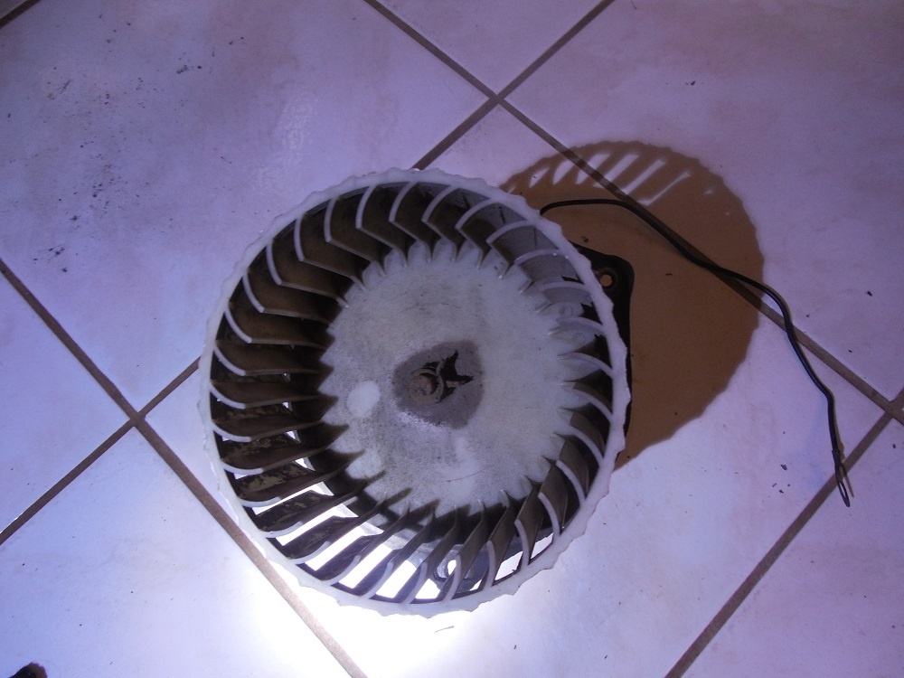 DSCN3190.JPG