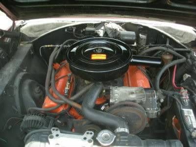 DSCN4102.jpg