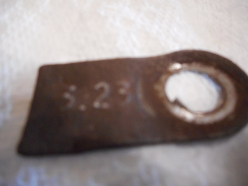 DSCN8487.JPG