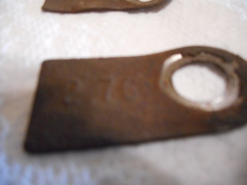 DSCN8488.JPG