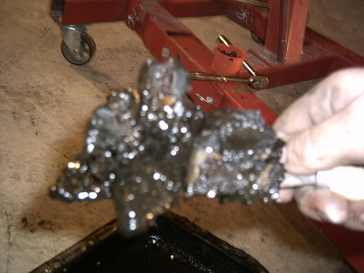 e 16.jpg