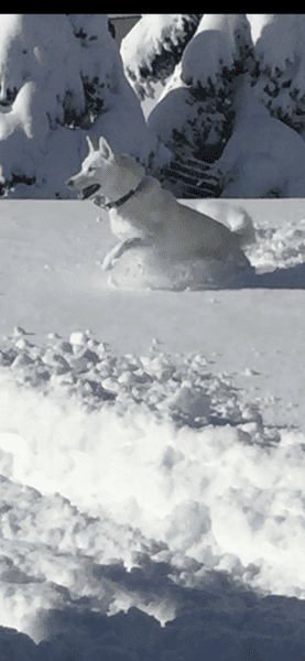 E618368C-B3AE-4682-8F1B-7F95701017DD.png