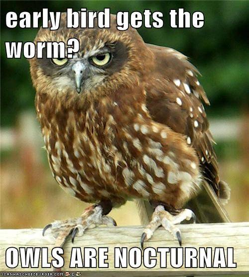 early-bird-gets-the-worm-owls-are-nocturnal.jpeg
