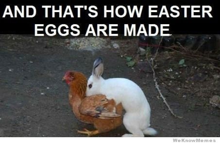 easter-meme1.jpg