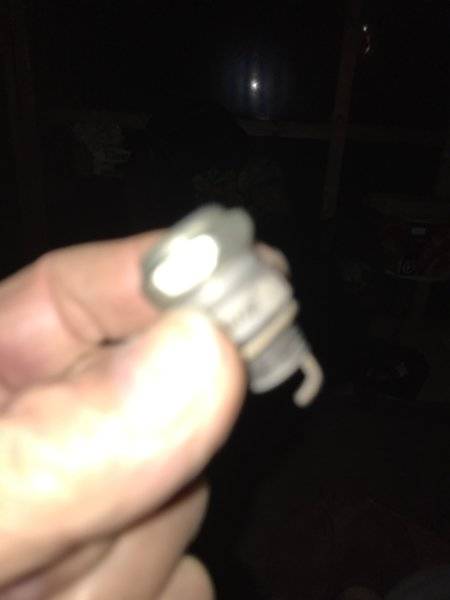 ECDFE547-FC95-4EDC-A201-B4BB52631792.jpeg