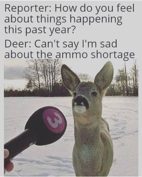 ee9c2c0d20506350025082b918ffde4fda919932.jpg