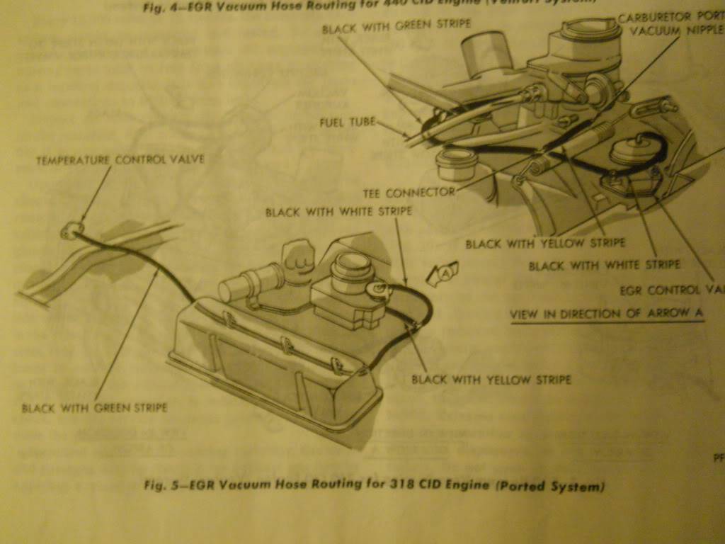 EGR318.jpg