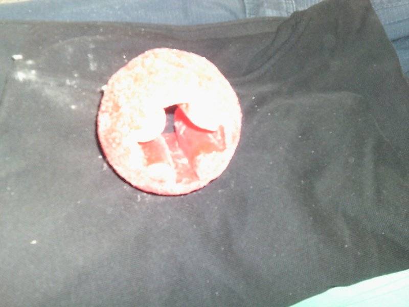 Elvis dog balls toys 003.JPG