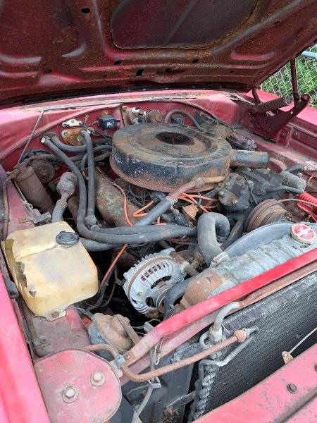 Engine bay.jpg