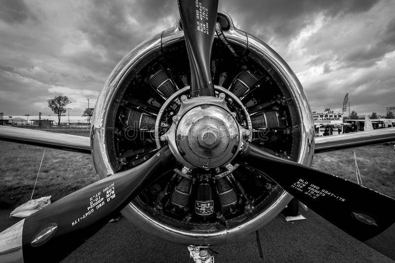 erican-t-b-trojan-close-up-us-navy-black-116554342.jpg