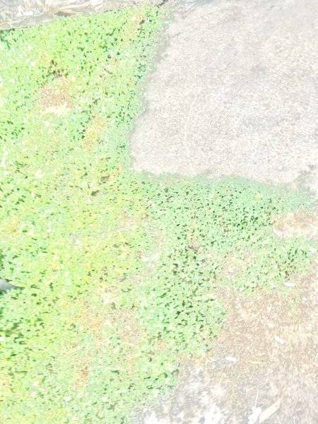 F16AC774-9B0B-4B35-9BBC-ABE6D85DD17A.jpeg