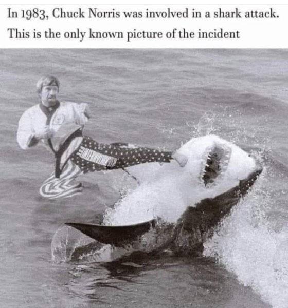 F276751F-6BF7-40C8-992E-E629421458A3.jpeg