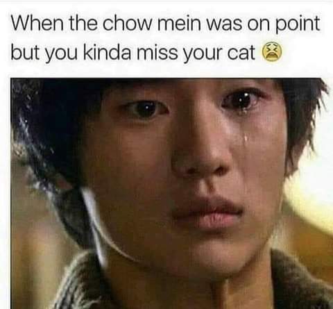 f2f331008872dd5ca0af10ebbf444bb865cd11175e6317585d71ae99af056fd5.jpeg