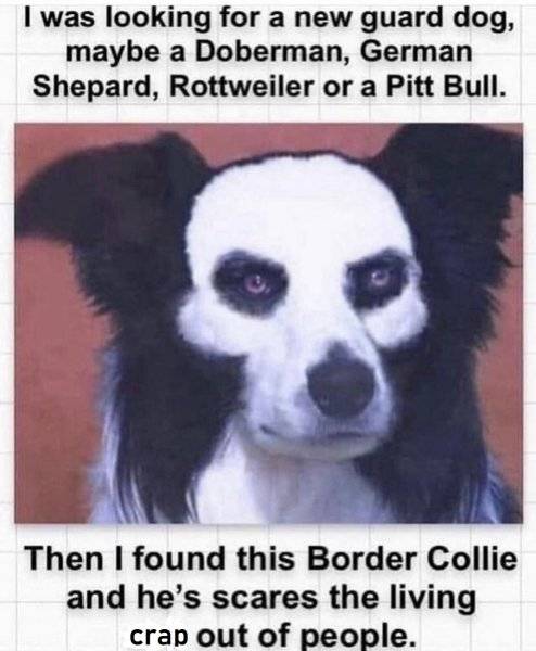 f3e864e3279ca701888d0e75f26dcfd033e05871d355be9113bd6d3c74f8bfe3.jpeg
