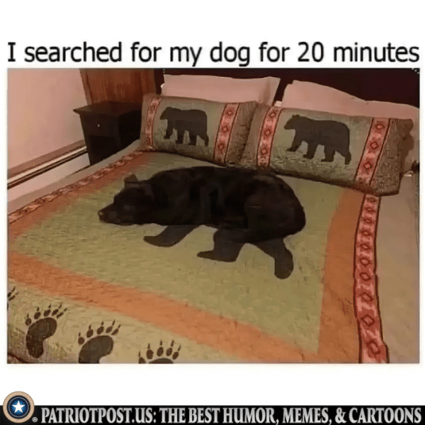 f705a6e3af196d07437c392a676a70749bc2a6955659a5d4580374c85999df9f.png
